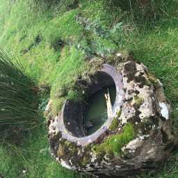 Image of Coldberry Mine well, 2020. Emma Watson 11-Jul-2020